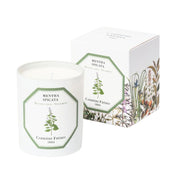 Carriere Freres Spearmint Candle 185g-Beauty Affairs1