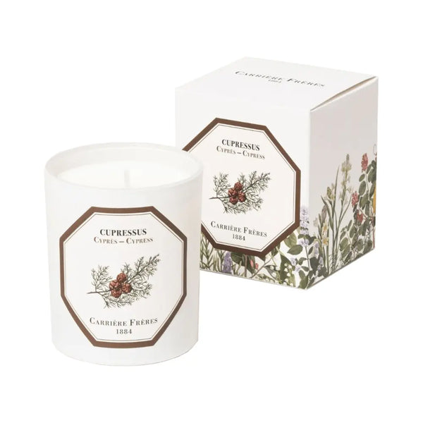 Carriere Freres Cypress Candle 185g Carriere Freres - Beauty Affairs 1