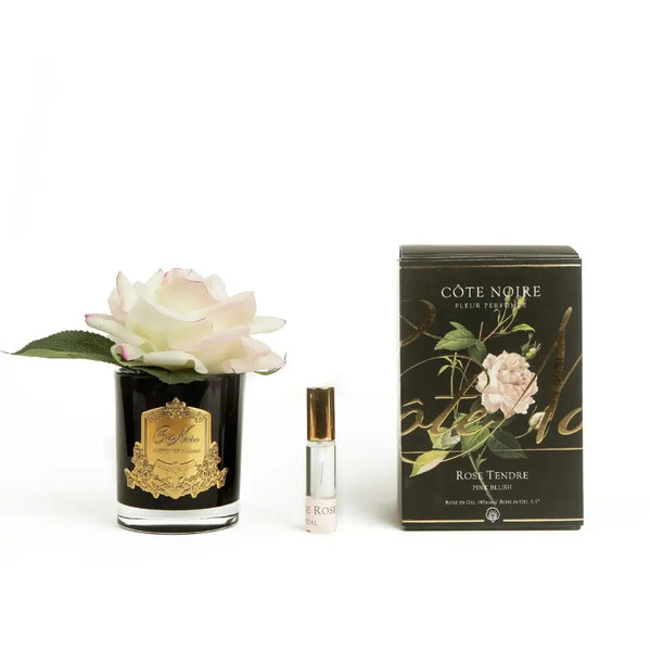 Cote Noire Perfumed Natural Touch Single Rose Pink Blush Cote Noire (Golden & Black Glass) - Beauty Affairs 1