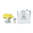 Cote Noire Five Roses Yellow (Silver & Clear)-Beauty affairs1